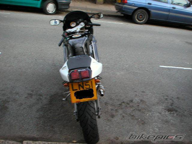 Photo 202031