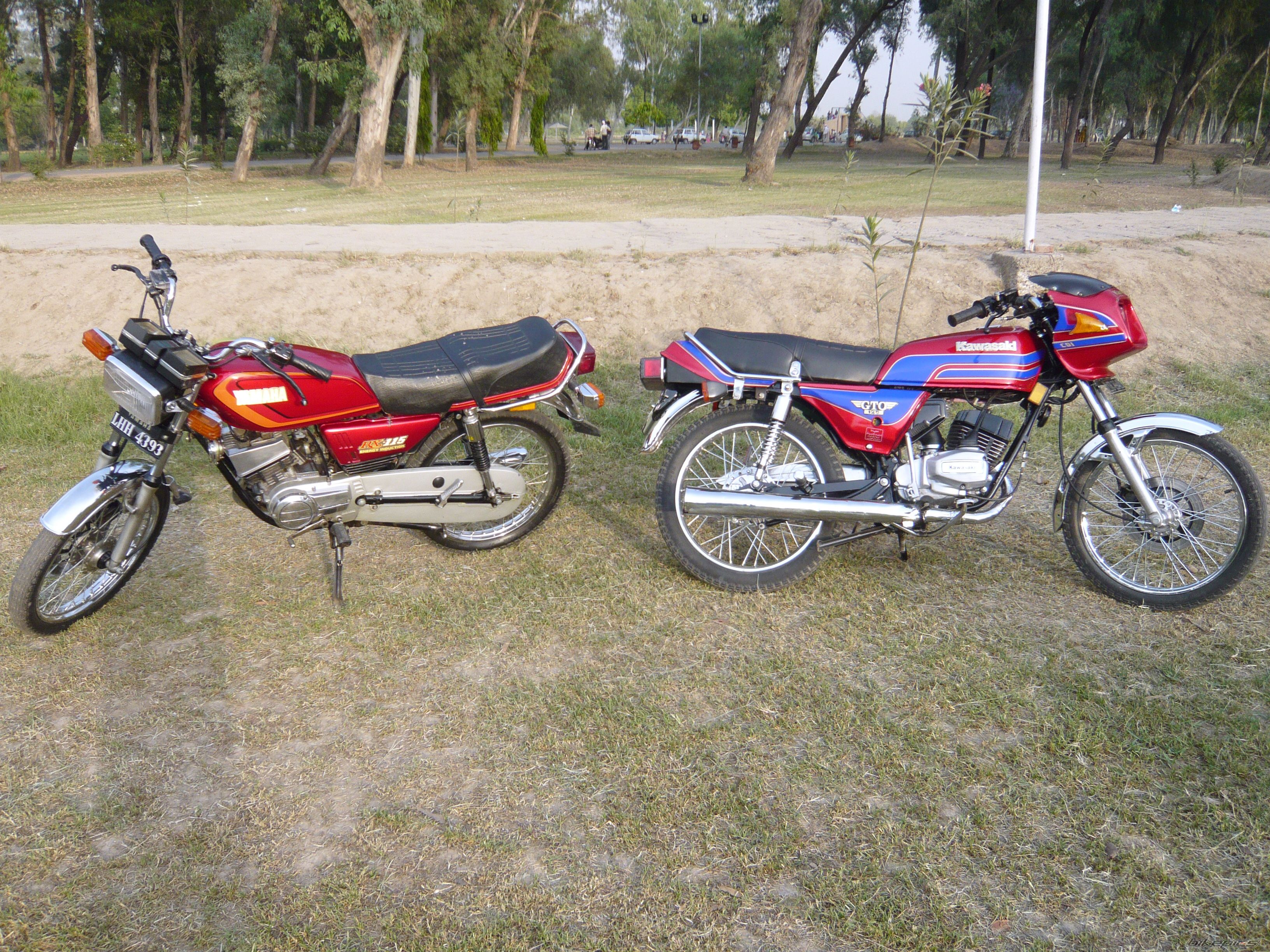 Photo 2020323