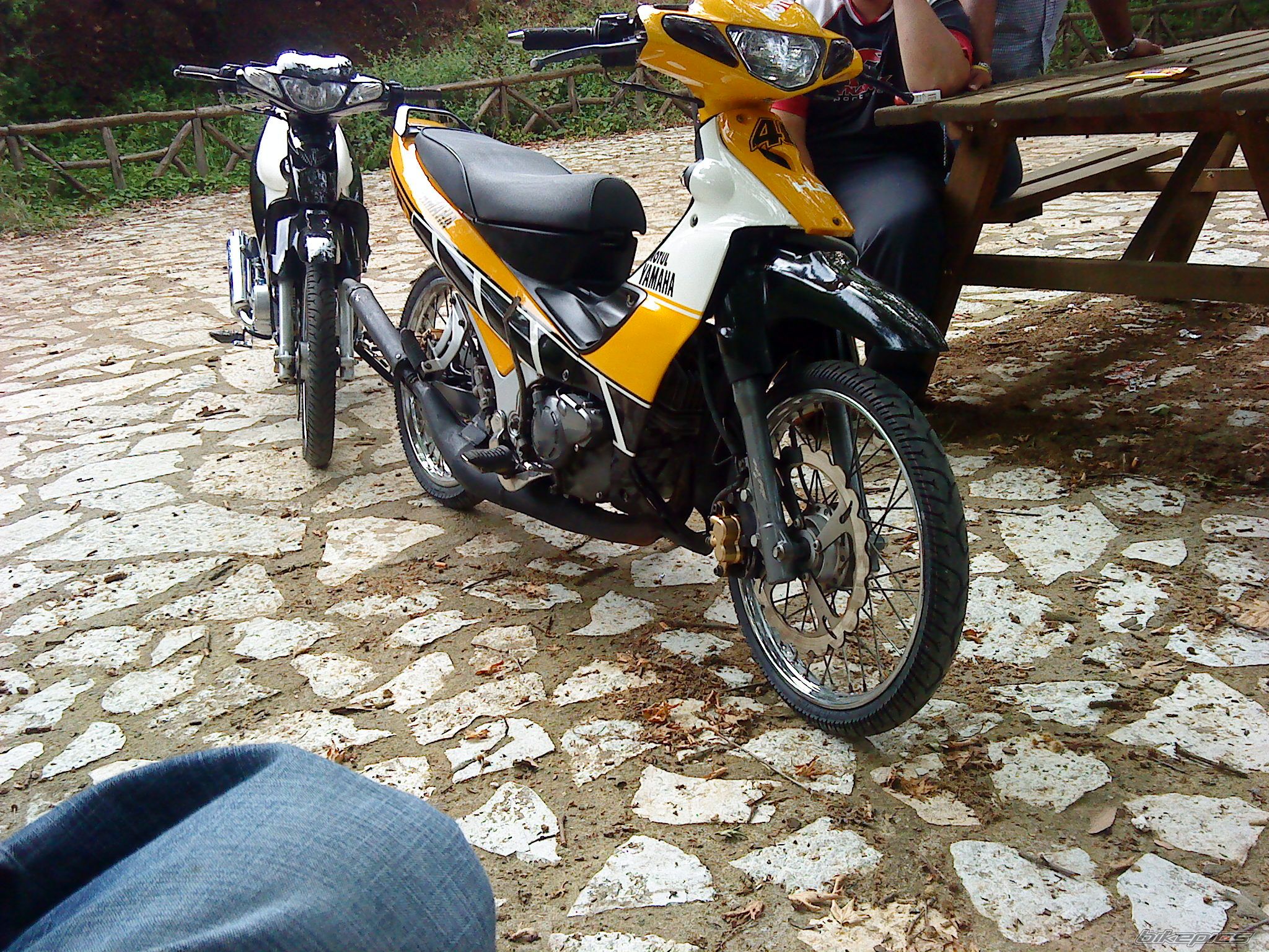 Photo 2020344