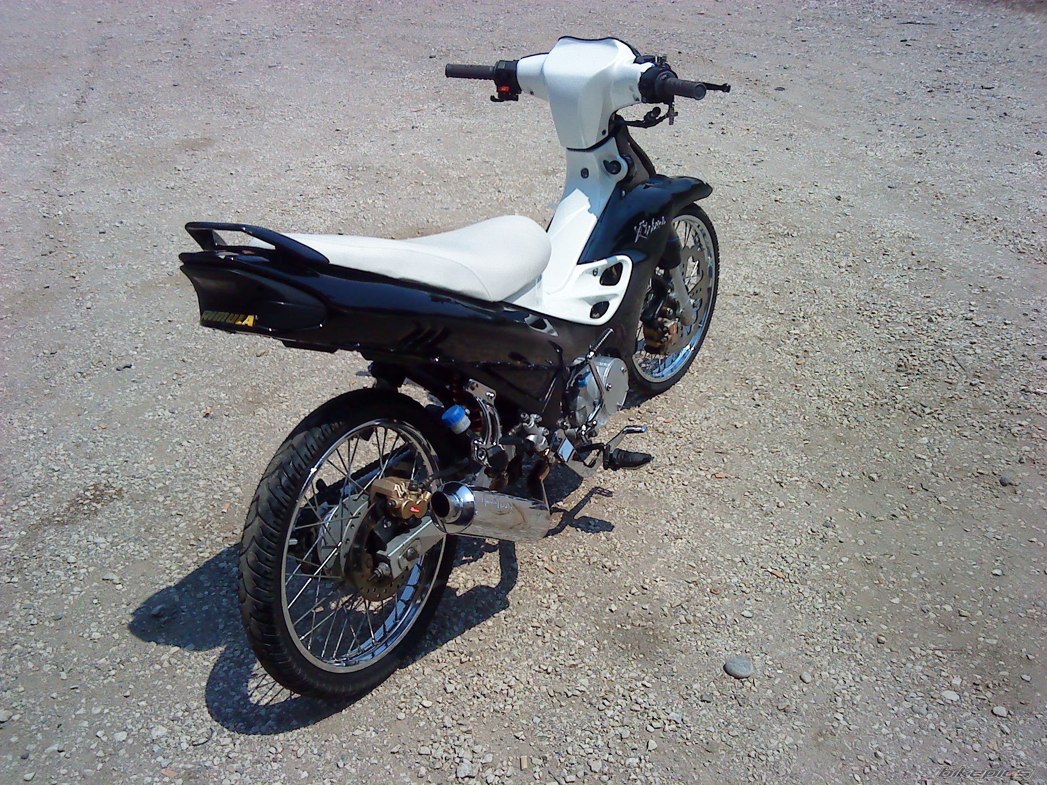 Photo 2020349