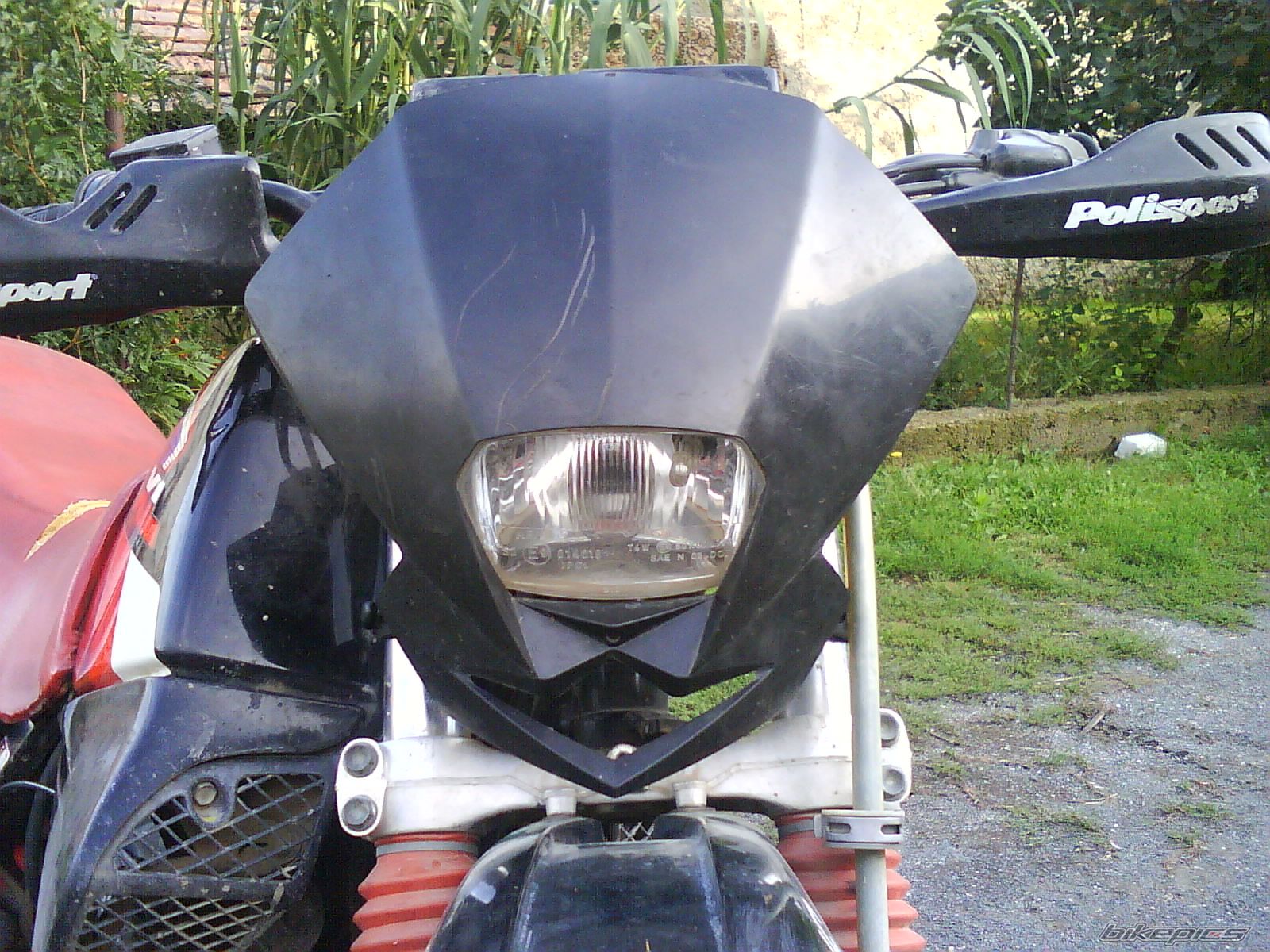 Photo 2020371