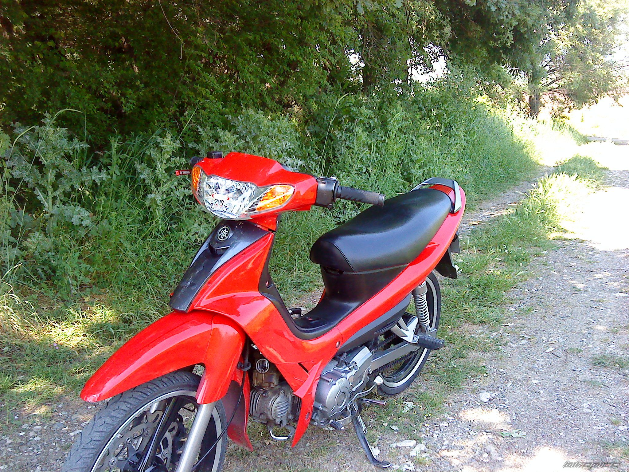 Photo 2020372