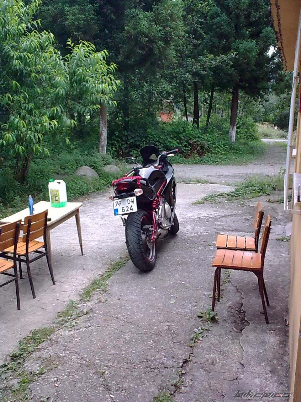 Photo 2020425