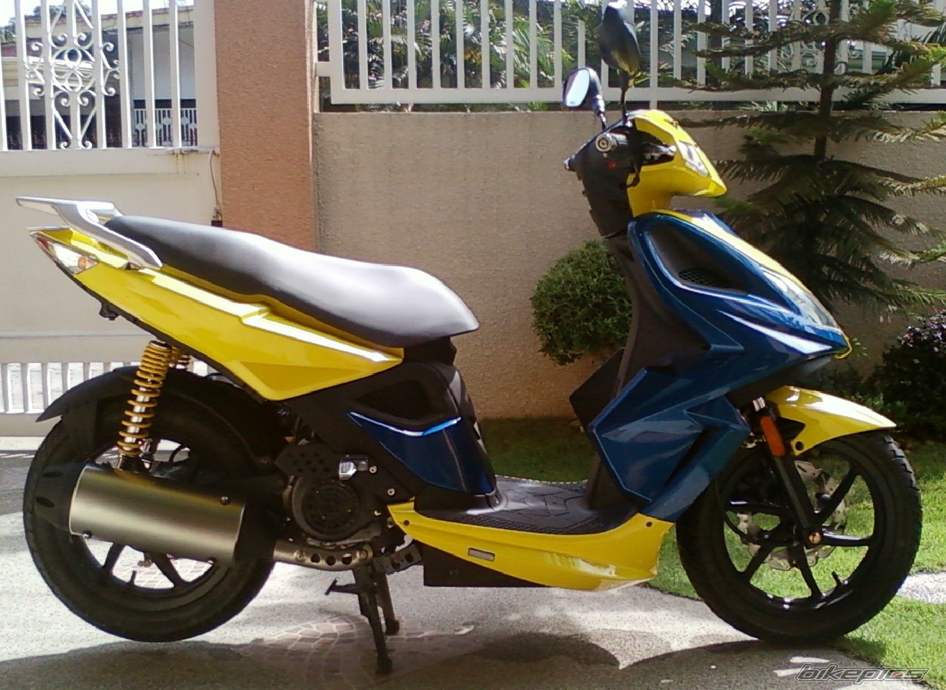 Photo 2020435