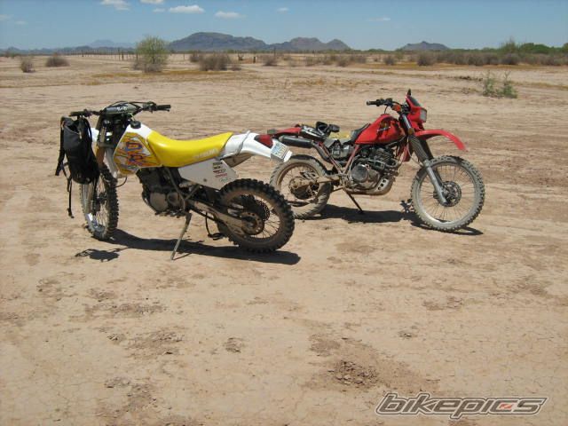 Photo 2020599