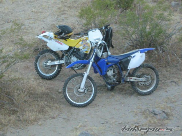 Photo 2020602