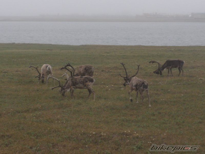 Photo 2020773