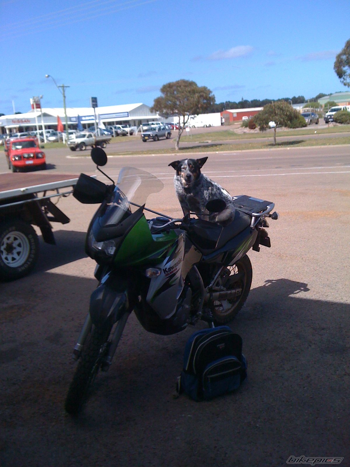 Photo 2020921