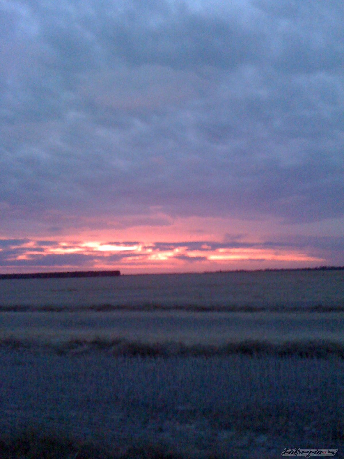 Photo 2020930