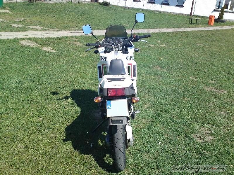 Photo 2021430