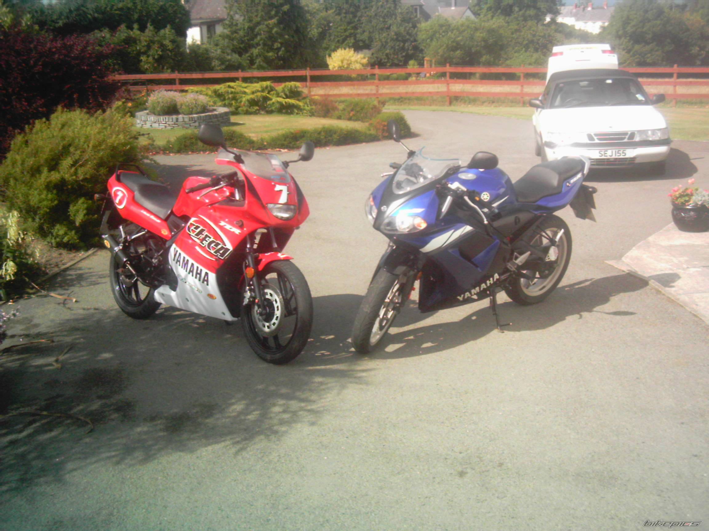 Photo 202153