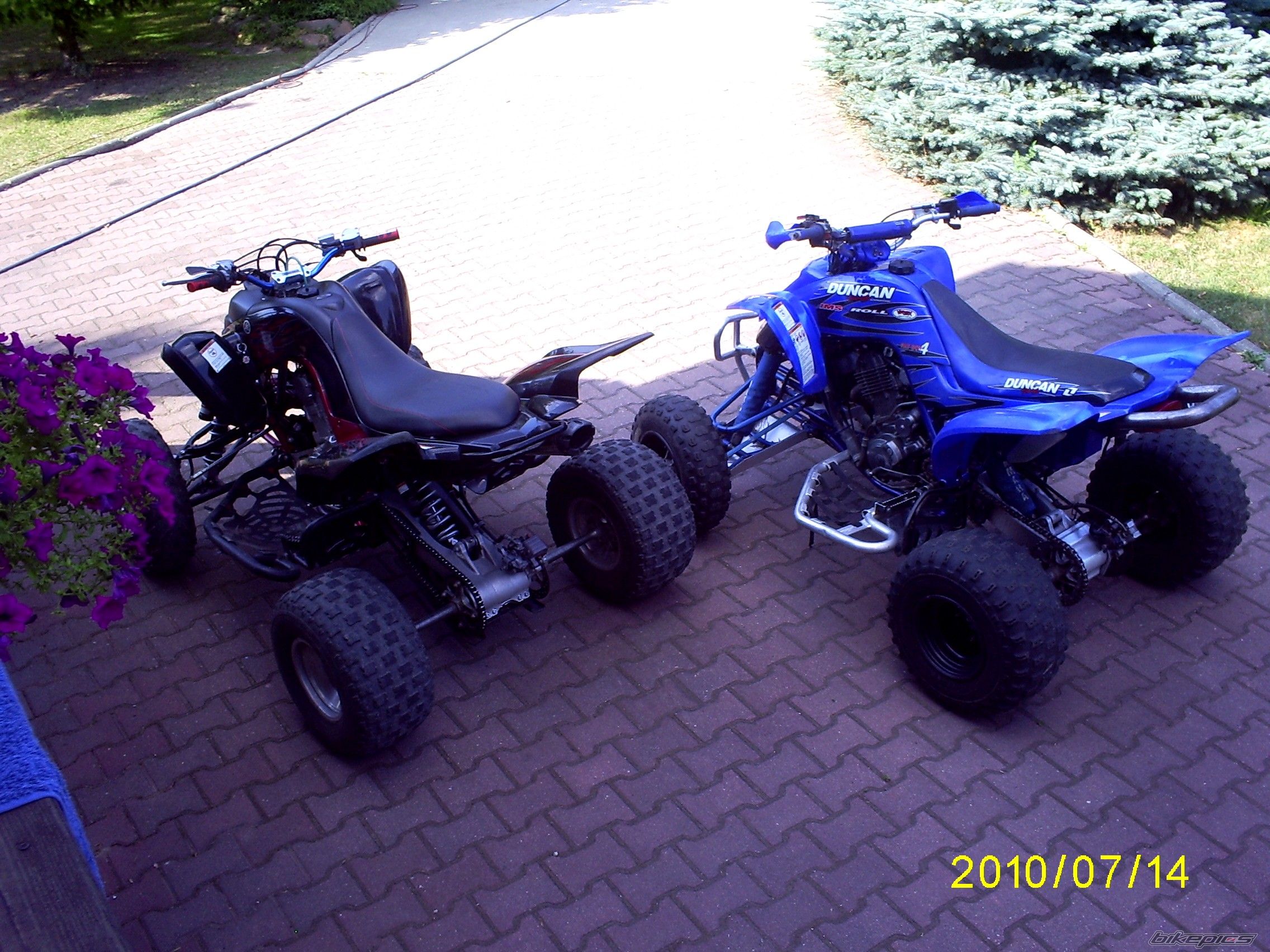 Photo 2021565
