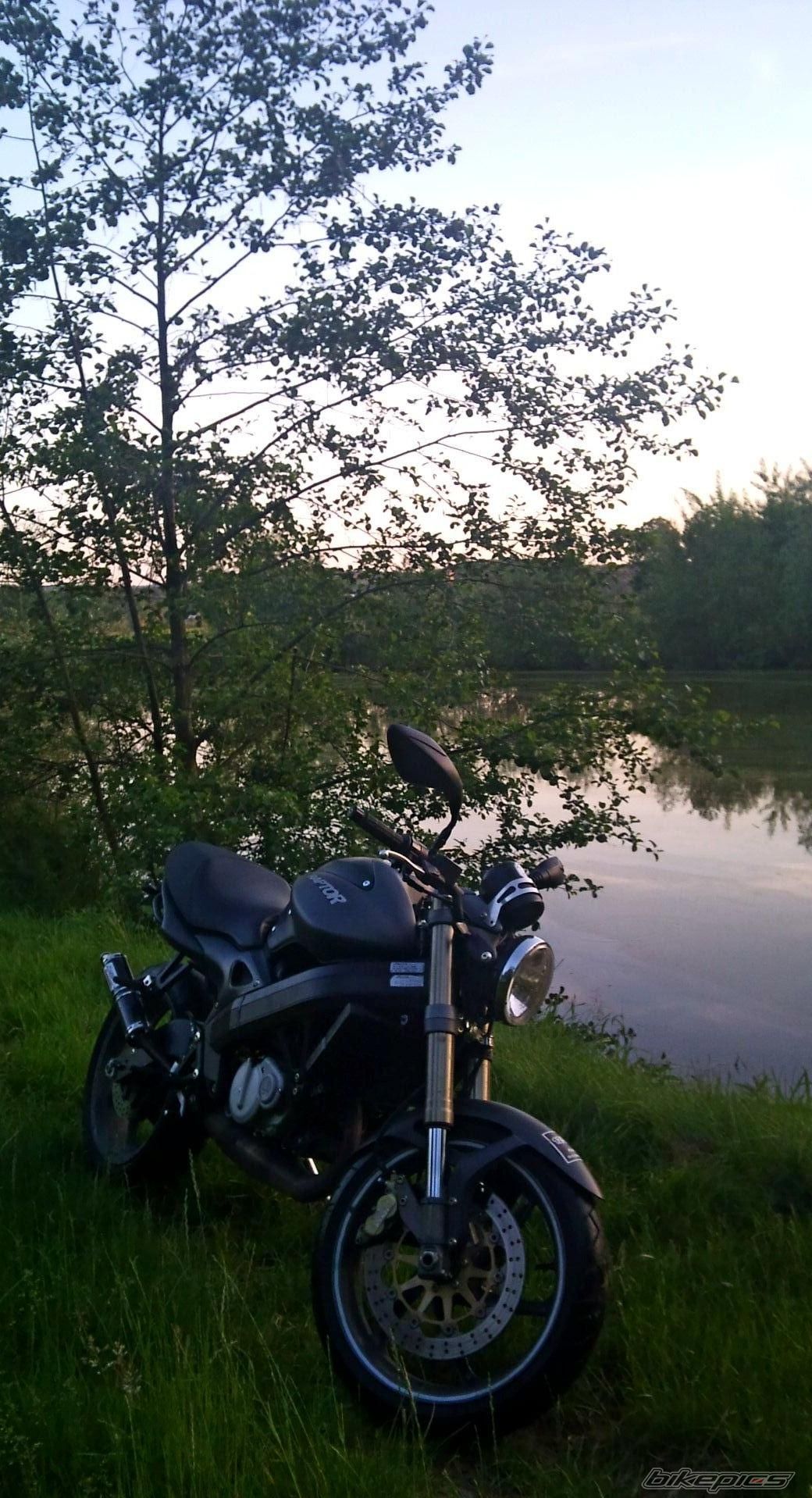 Photo 2021629