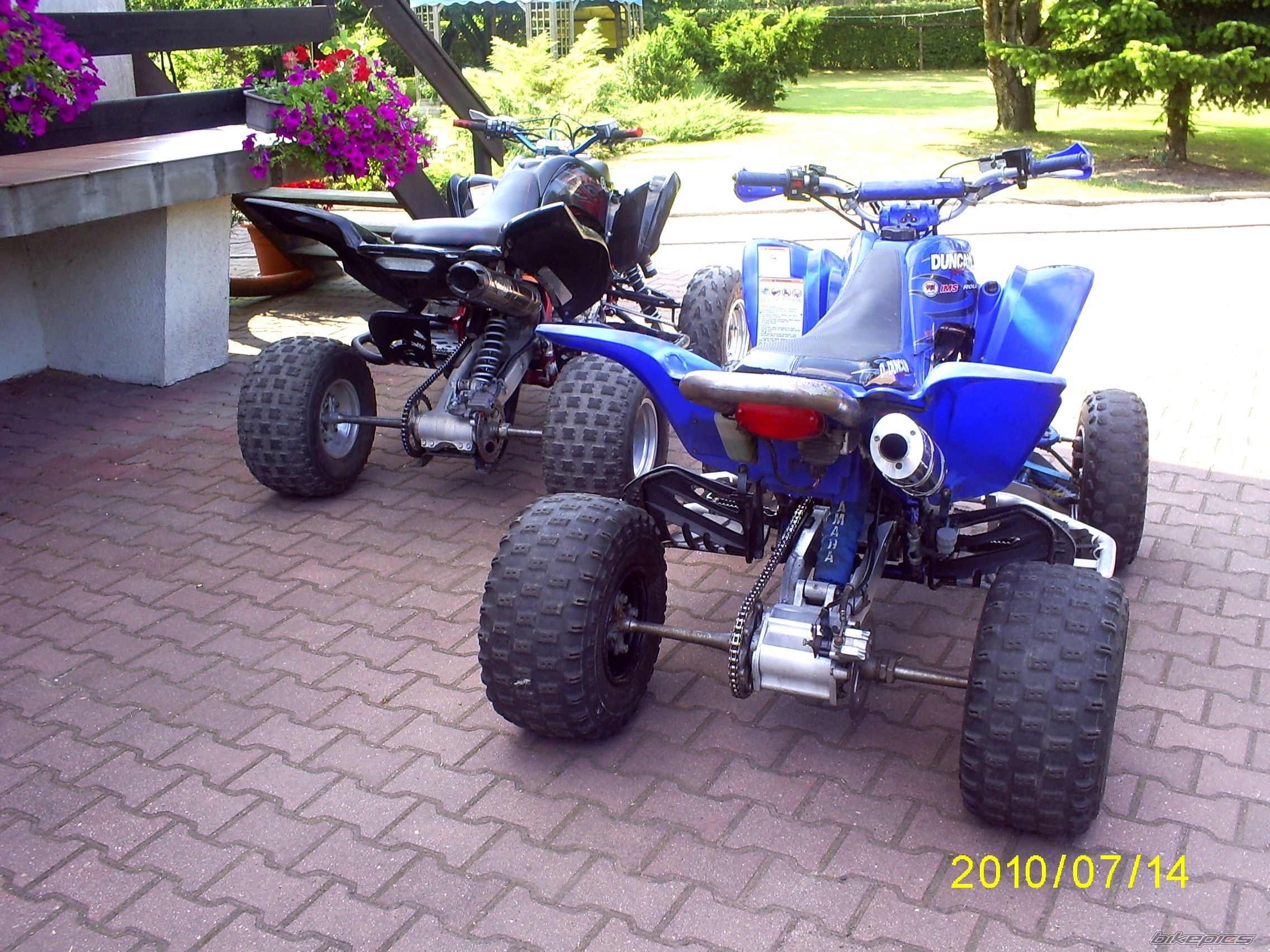Photo 2022081