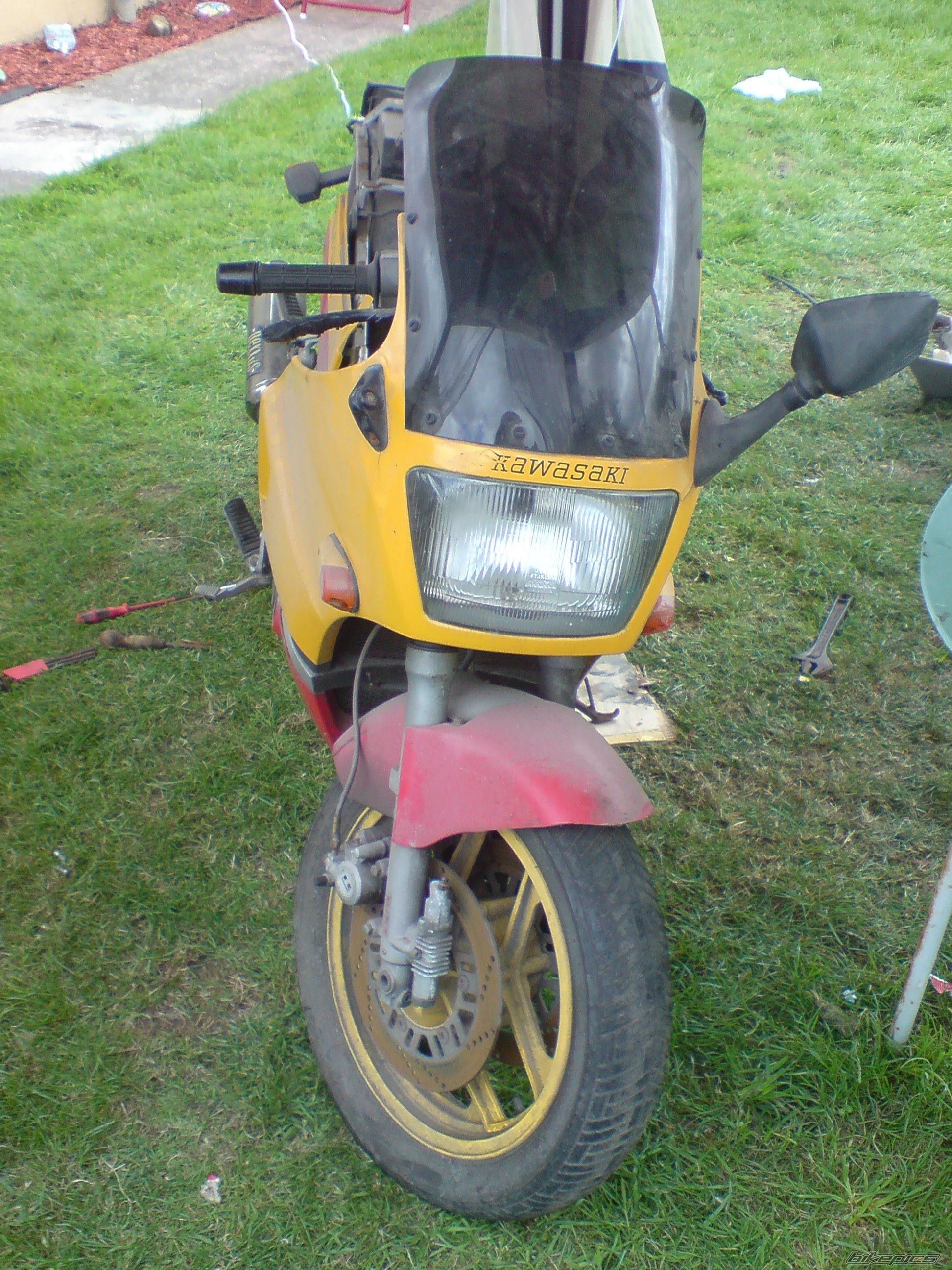 Photo 2022123