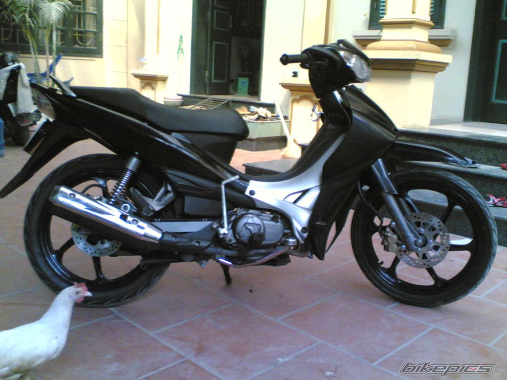 Photo 2022331