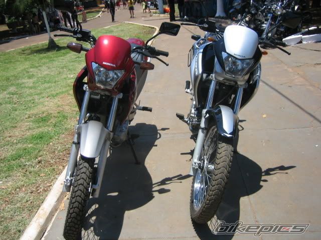 Photo 2022685