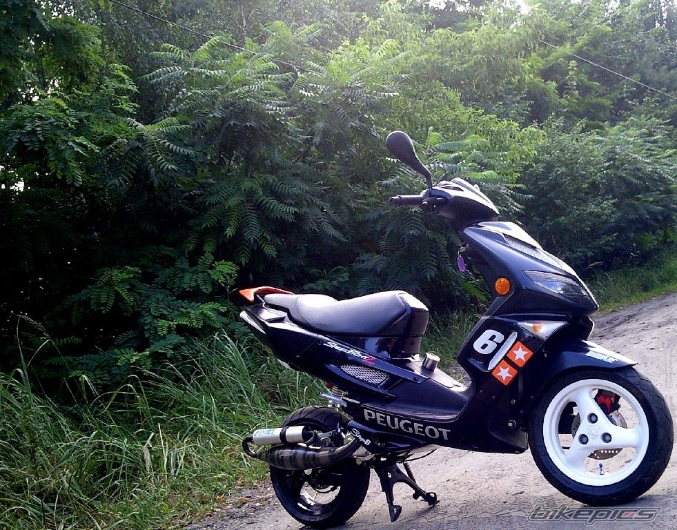 Photo 2022851