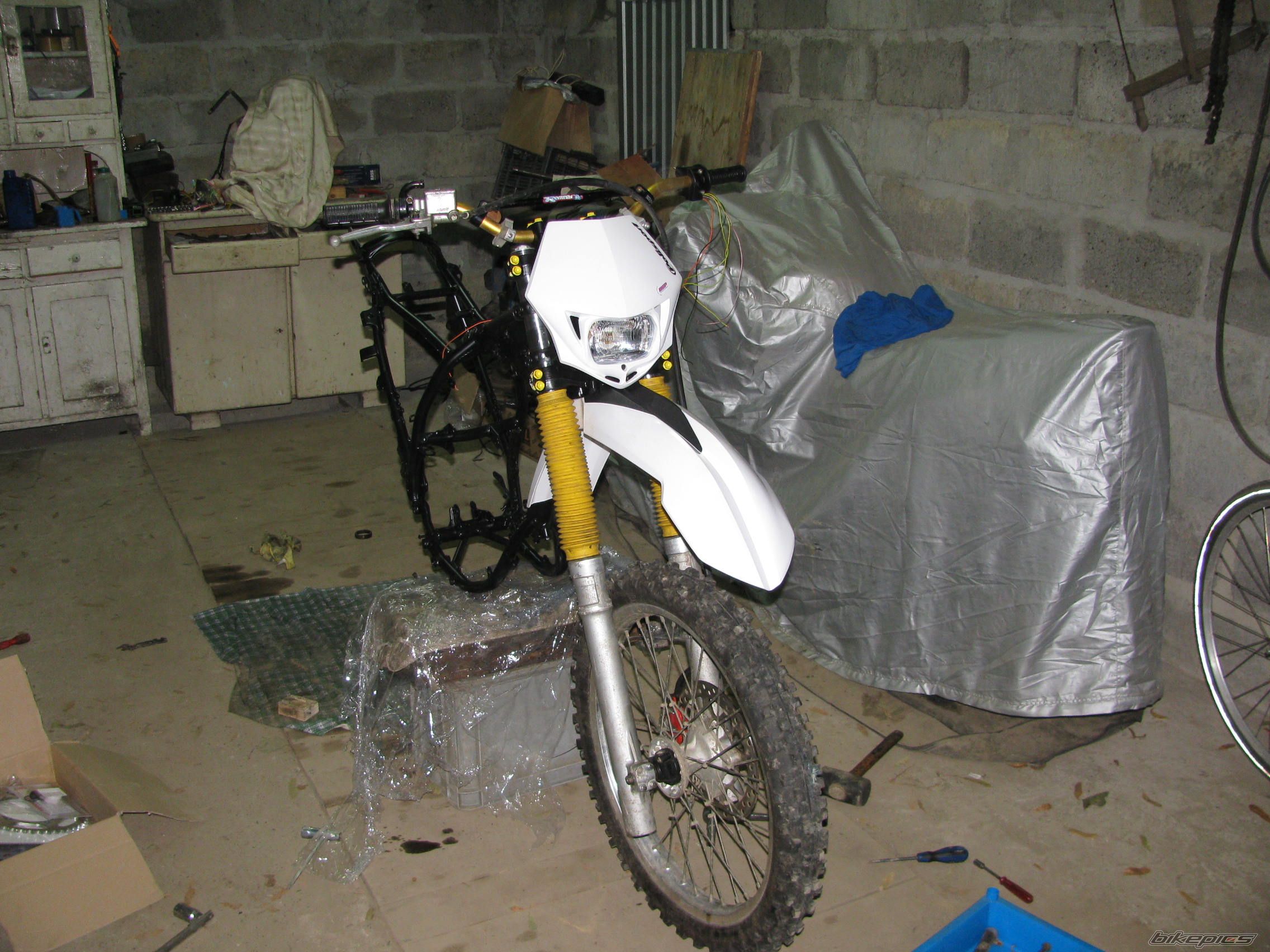 Photo 2023038