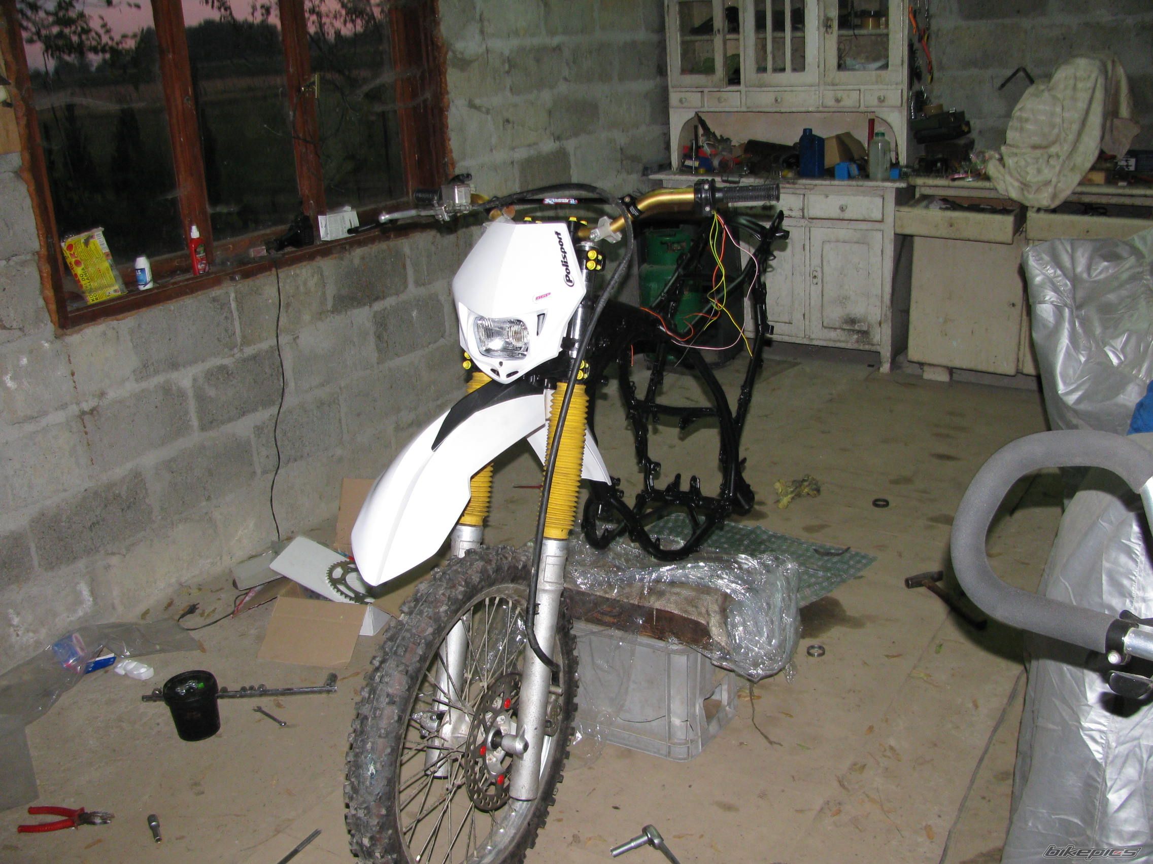 Photo 2023039