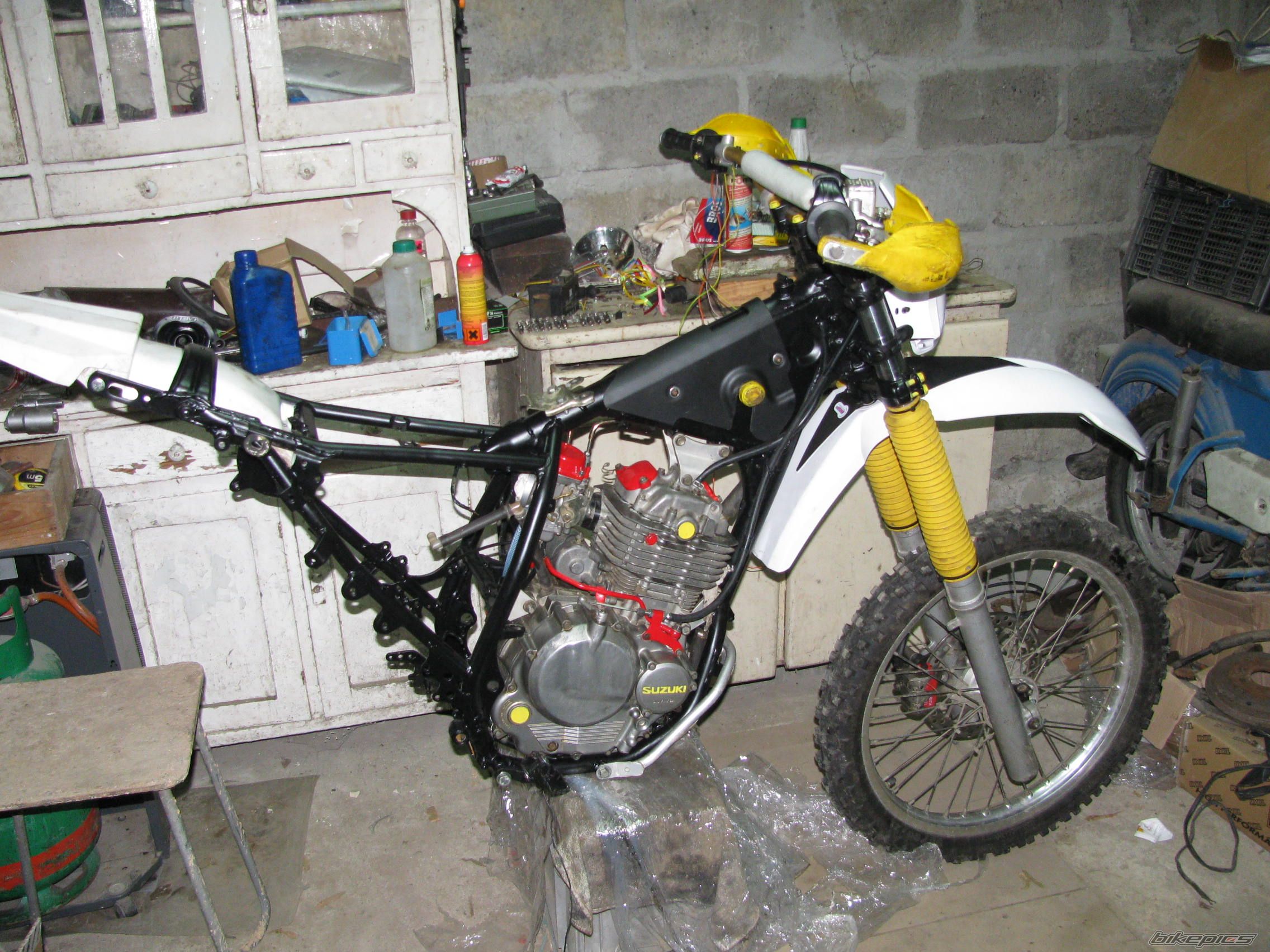 Photo 2023054