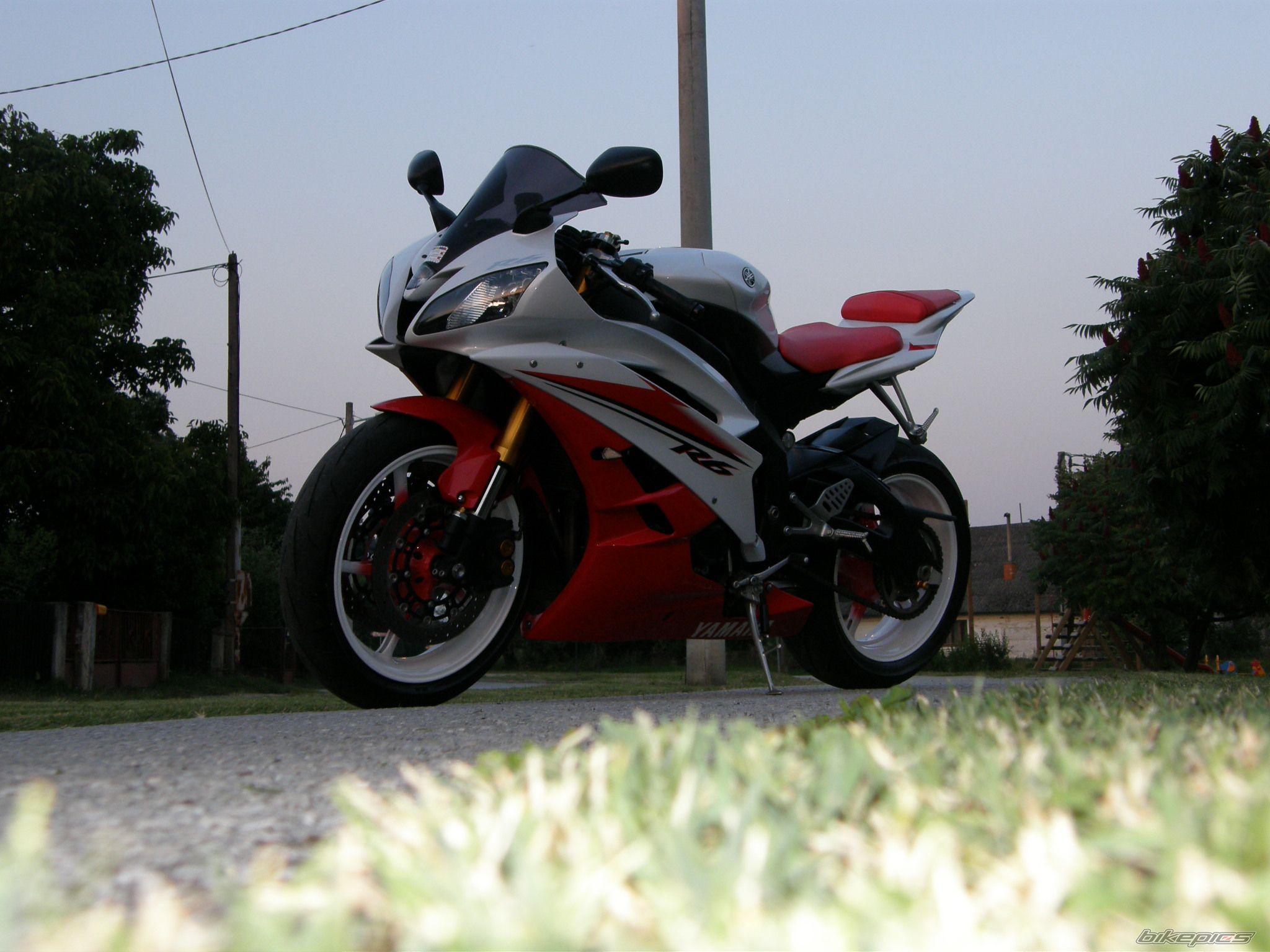 Photo 2023085