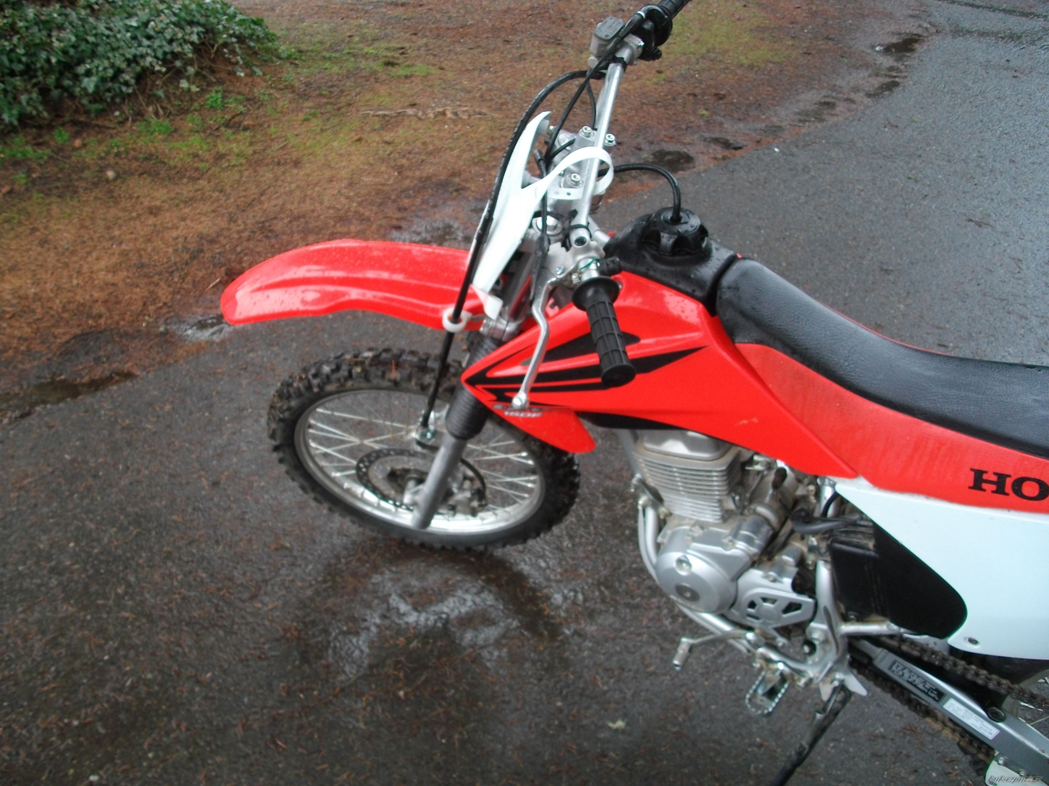 Photo 2023135