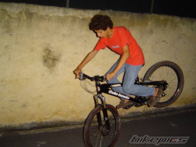 Photo 202328