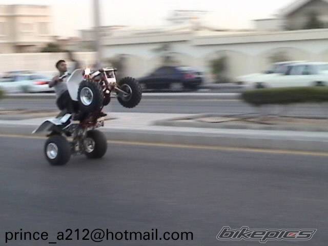 Photo 202335