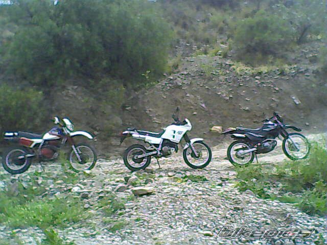 Photo 2023368