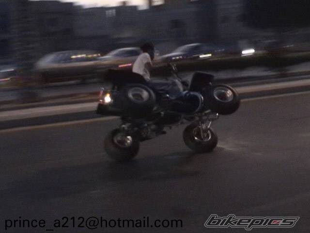 Photo 202340