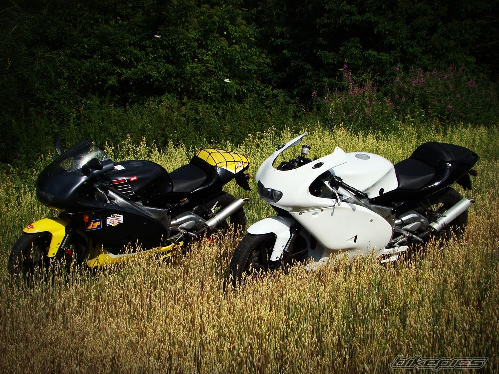 Photo 2023422