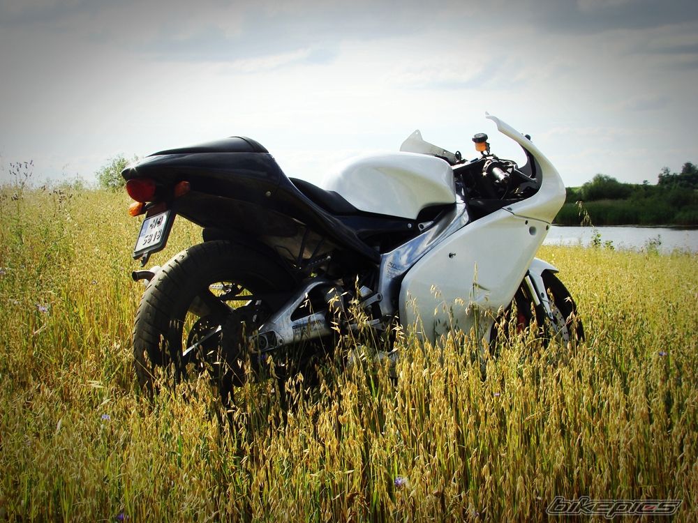 Photo 2023425