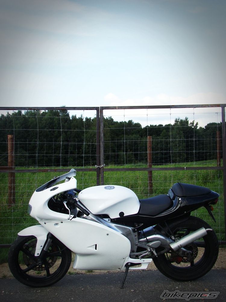 Photo 2023427