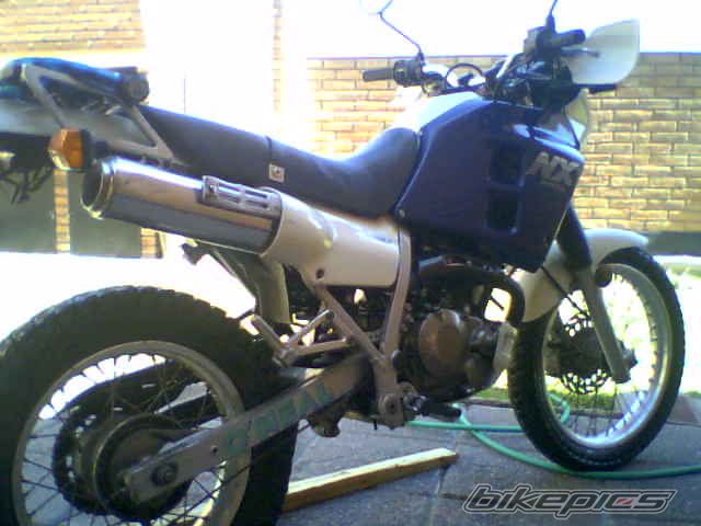 Photo 2023477