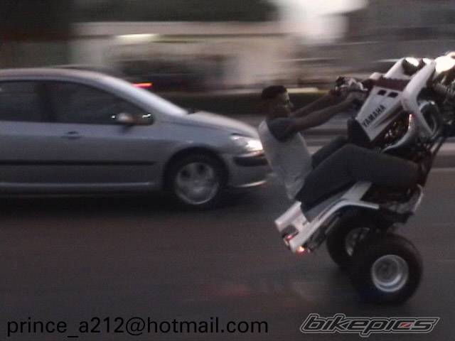 Photo 202348