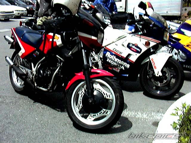 Photo 2023495