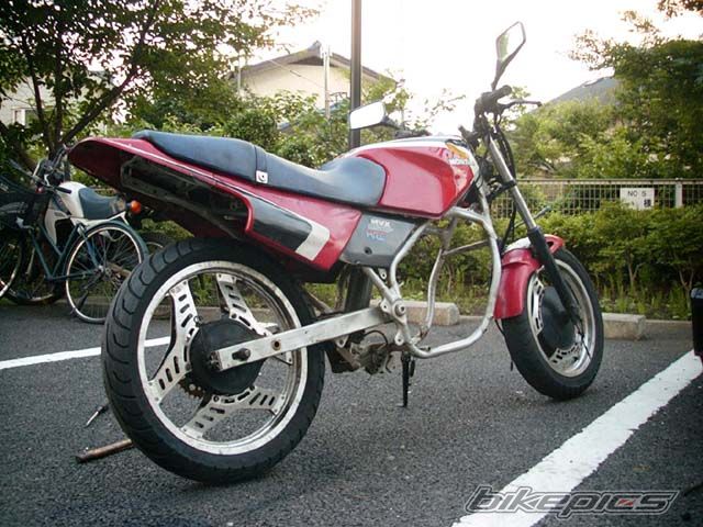 Photo 2023496