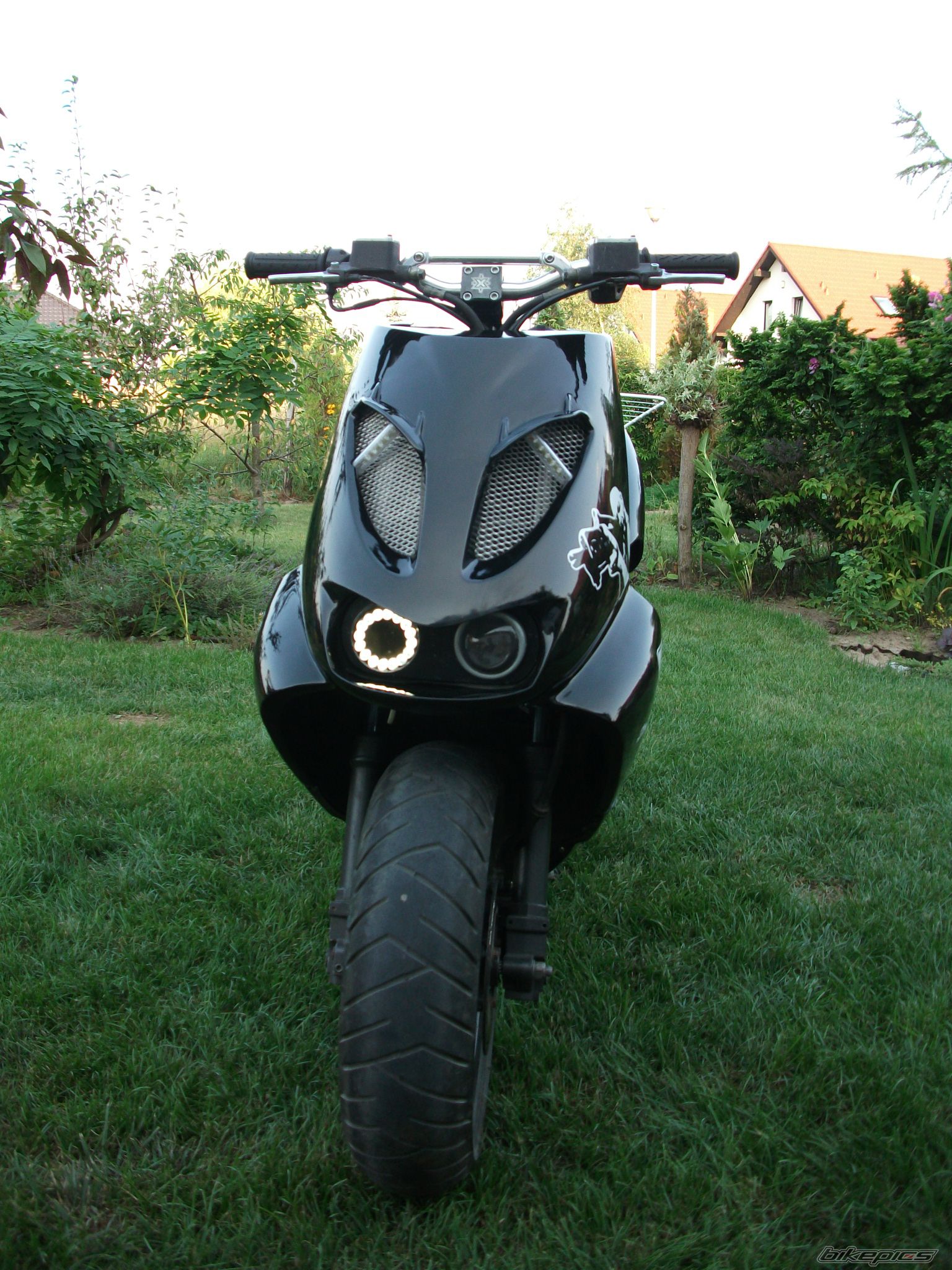 Photo 2023526