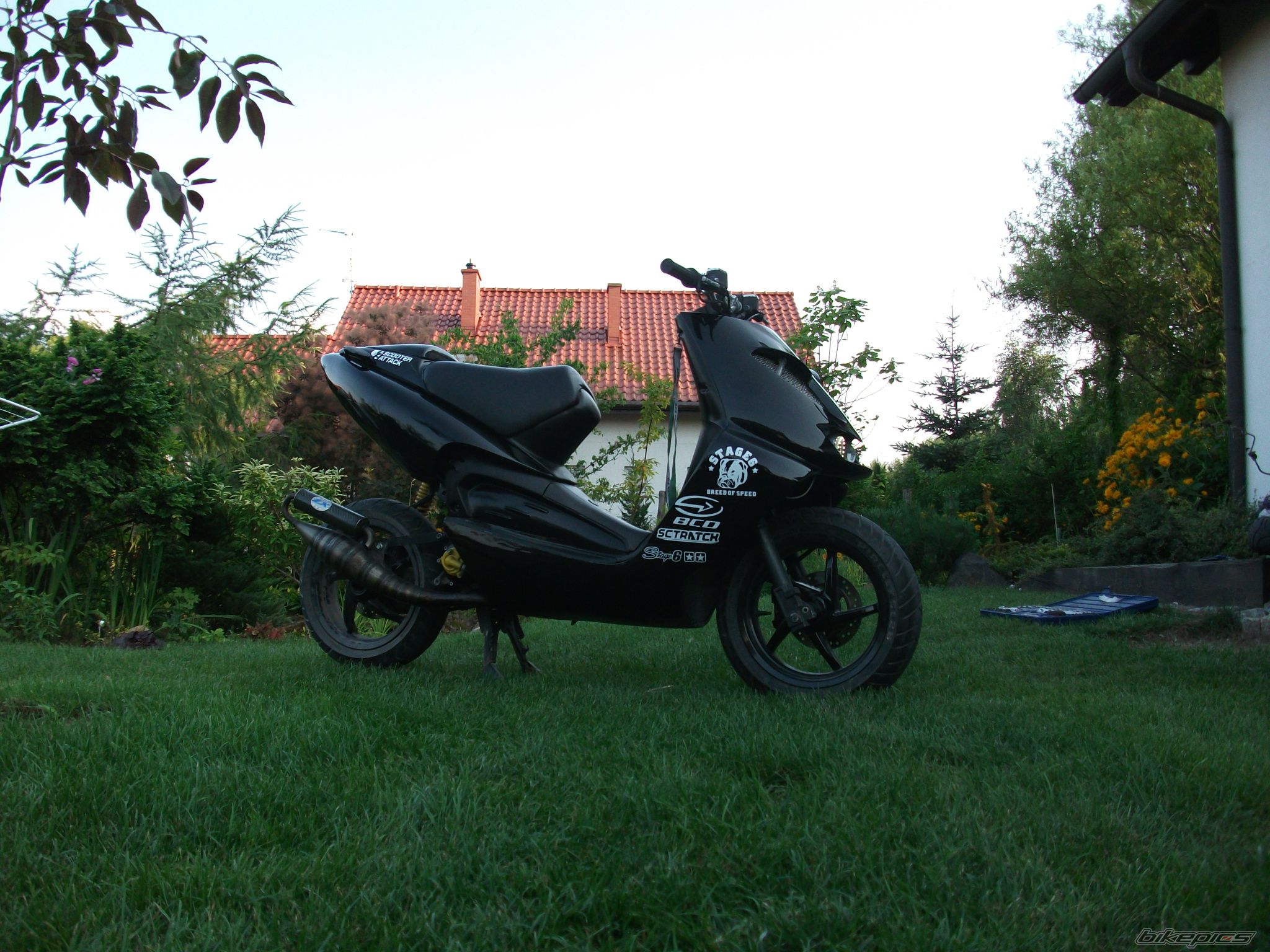 Photo 2023531