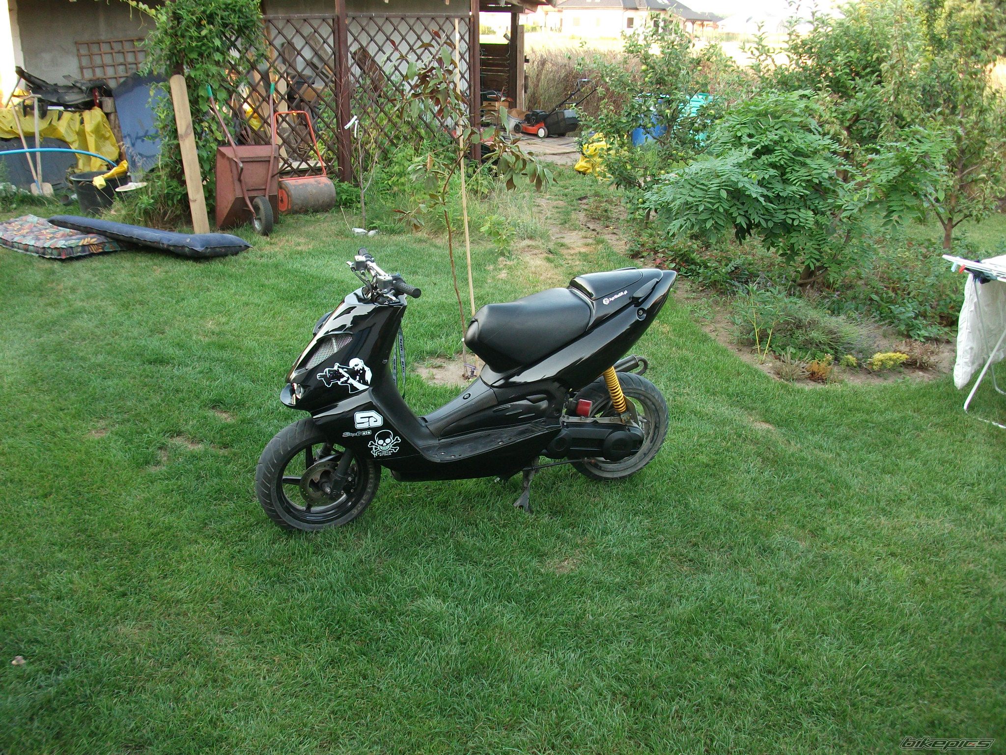 Photo 2023533