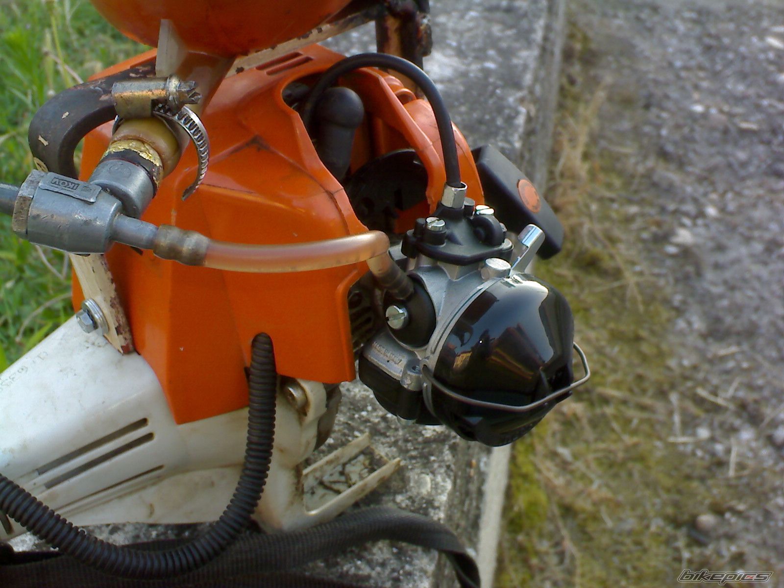 Photo 2023551
