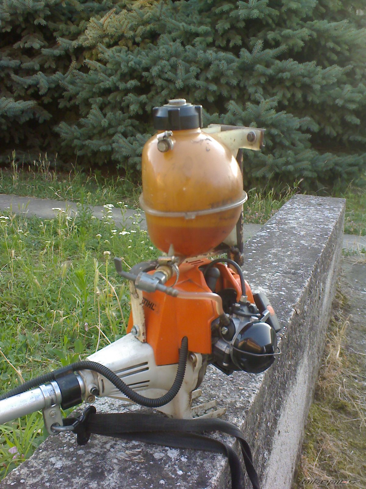 Photo 2023553