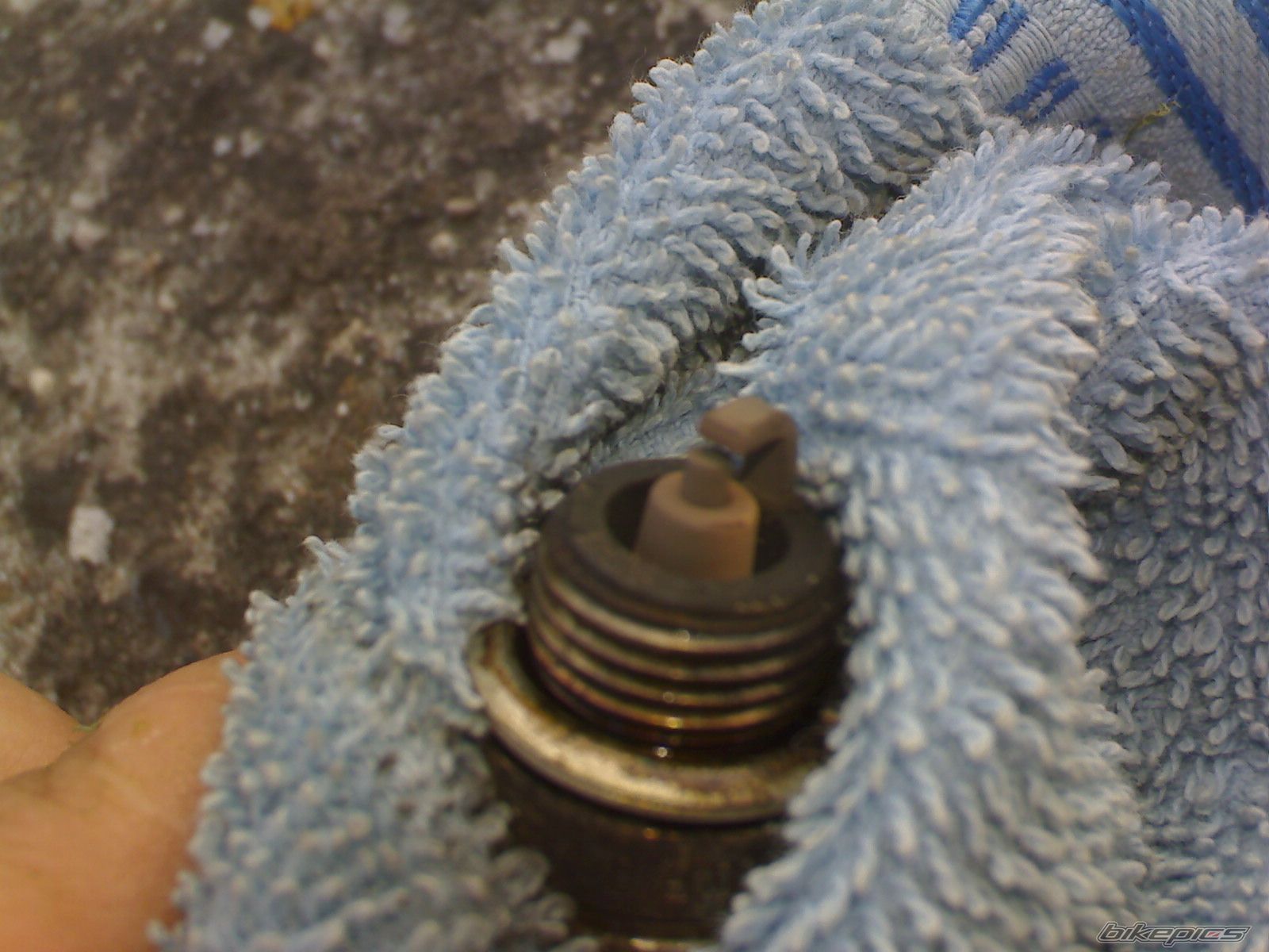 Photo 2023554