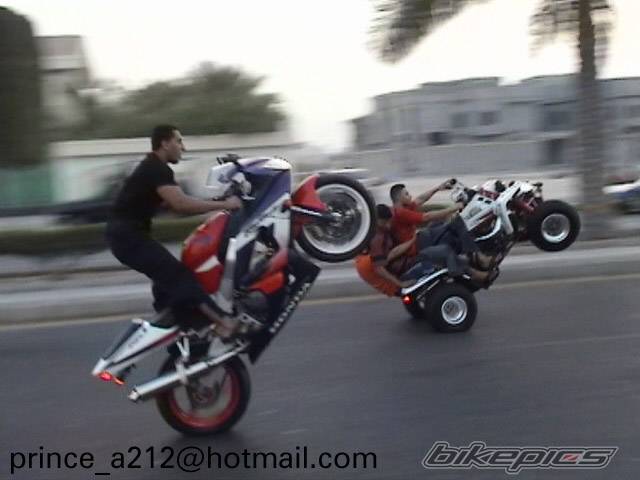 Photo 202358