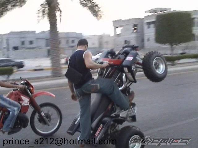 Photo 202363