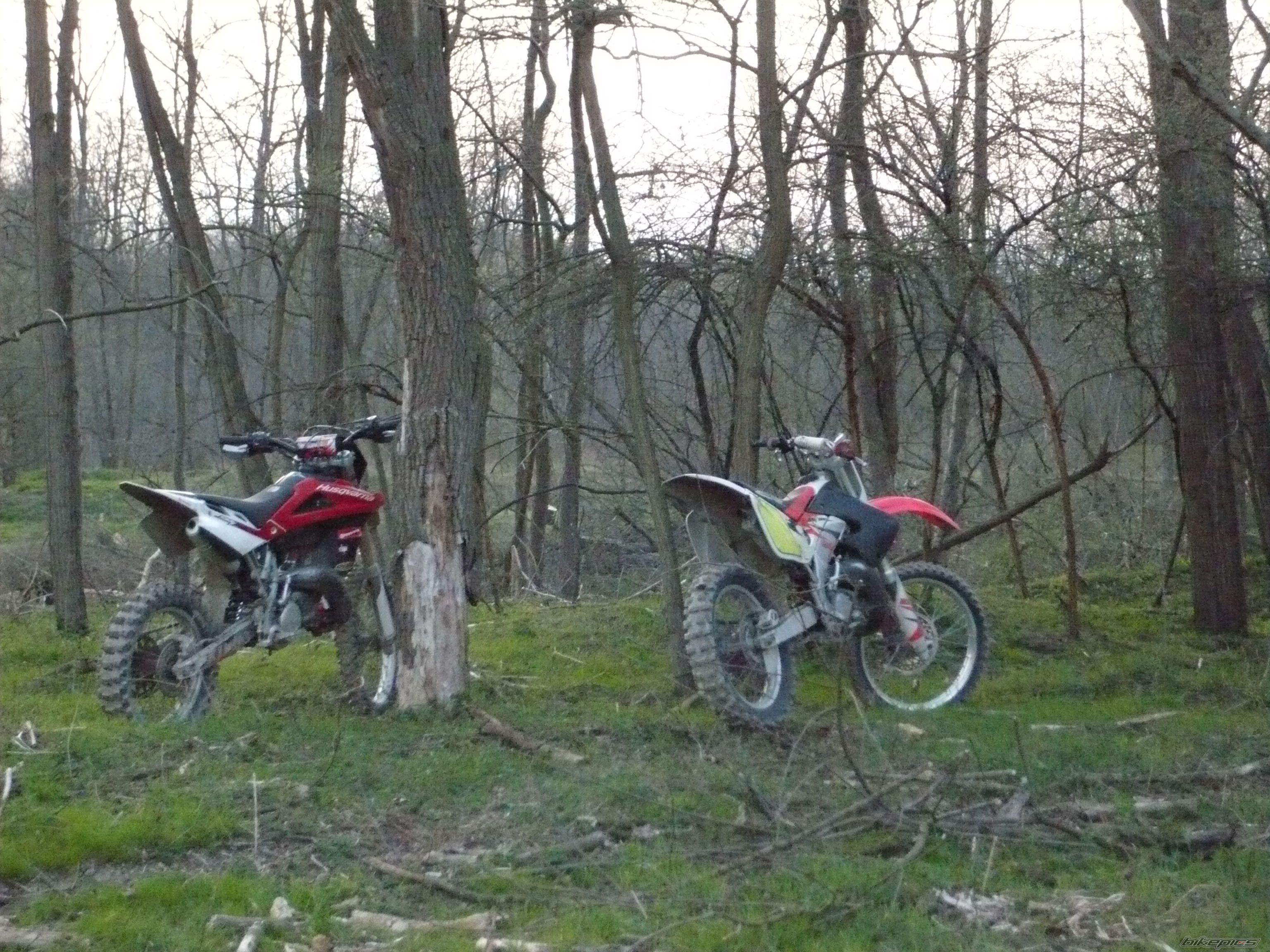 Photo 2023652
