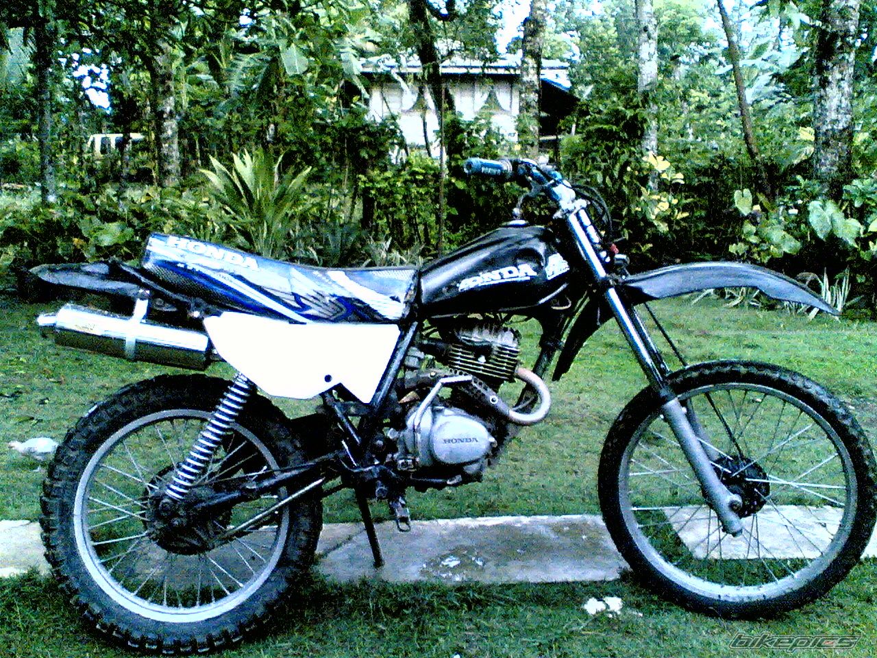 Photo 2023781