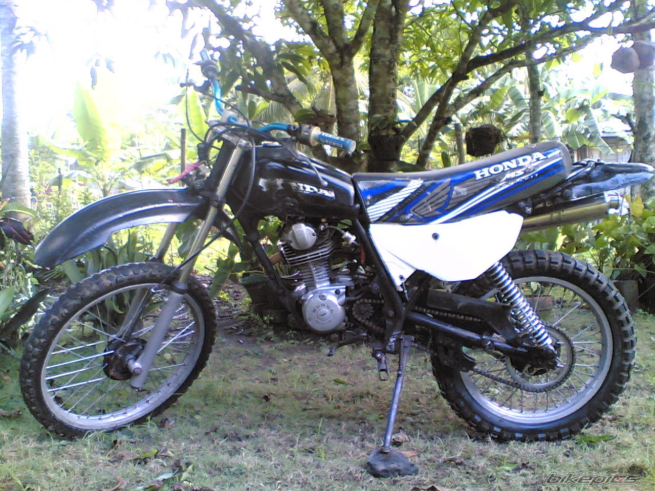 Photo 2023783