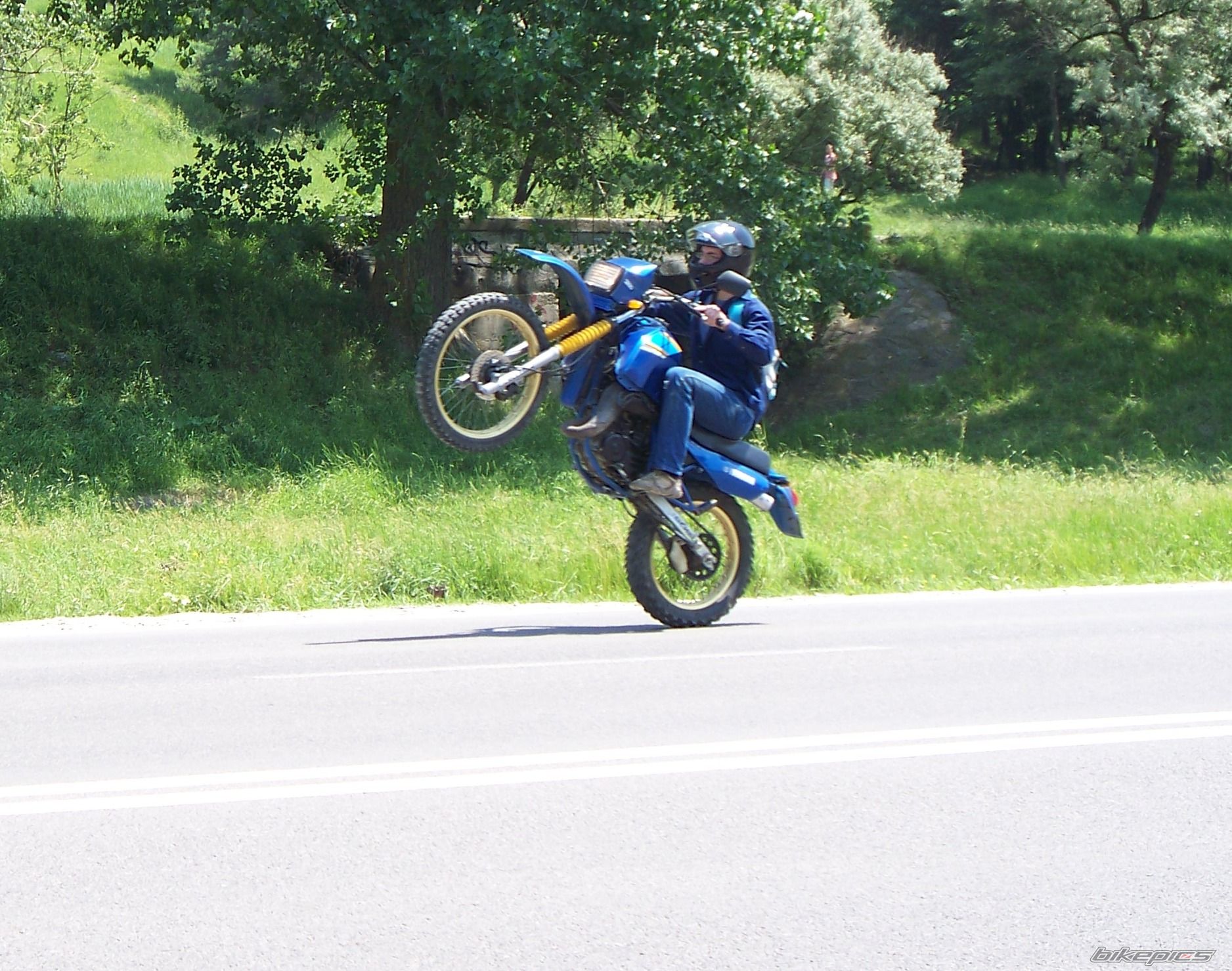 Photo 2023831